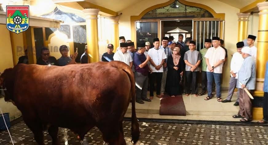 Wali Kota Lubuk Linggau Serahkan Sapi Kurban dari Presiden RI