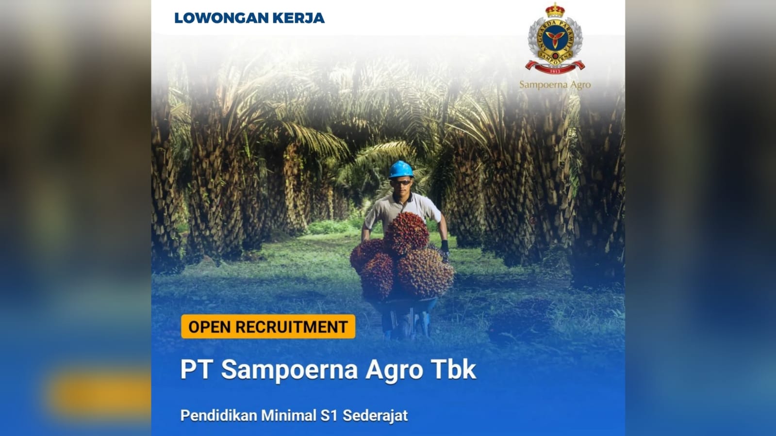 Lowongan Kerja Sumatera Selatan dari PT Sampoerna Agro Tbk Tersedia 3 Posisi Jabatan Cek Persyaratannya