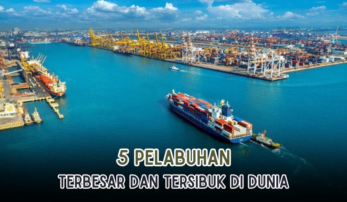 5 Pelabuhan Paling Sibuk dan Ramai di Dunia, China Mendominasi, Indonesia Masuk Daftar?