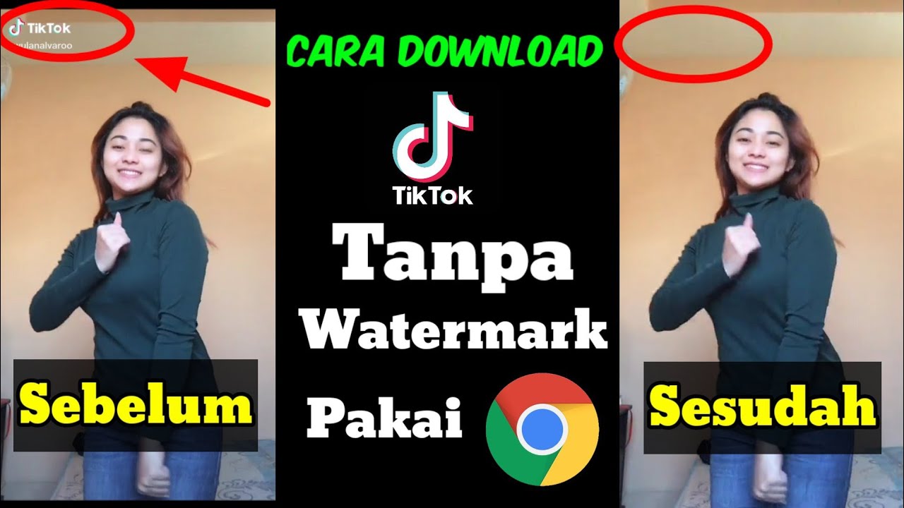 Proses Cepat dan Mudah, Begini Cara Download Video Tiktok Tanpa Watermark