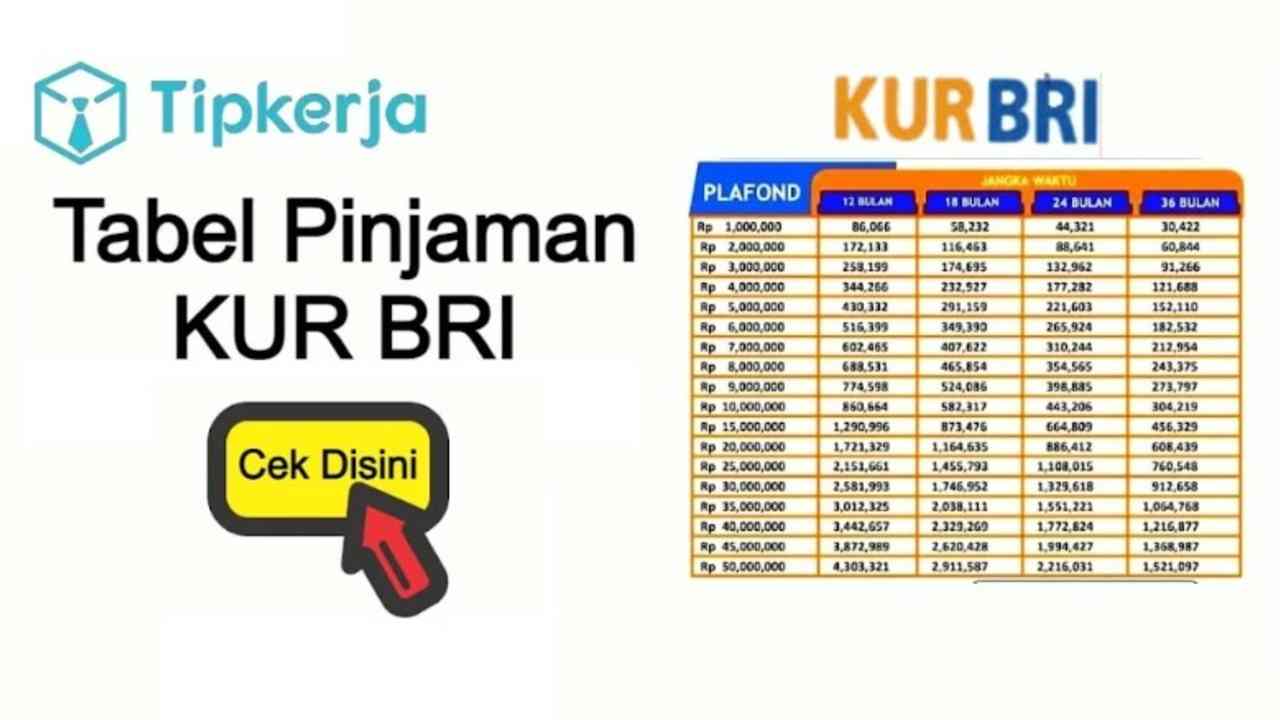 Bunganya Rendah, Pinjaman KUR BRI Kian Diminati Calon Debitur di Kayuagung