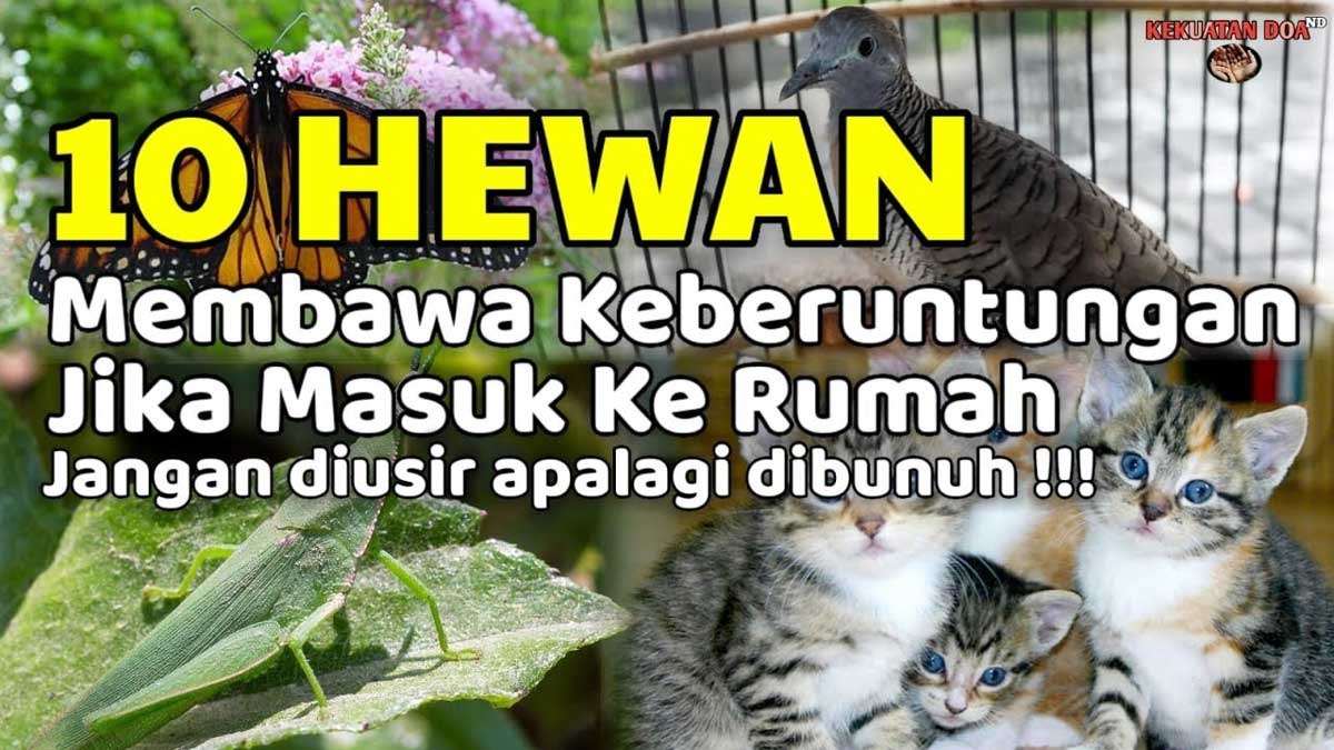 10 Hewan Ini Dipercaya Dapat Menyebarkan Keberuntungan di Rumah Menurut Primbon Jawa, Salah Satunya Perkutut