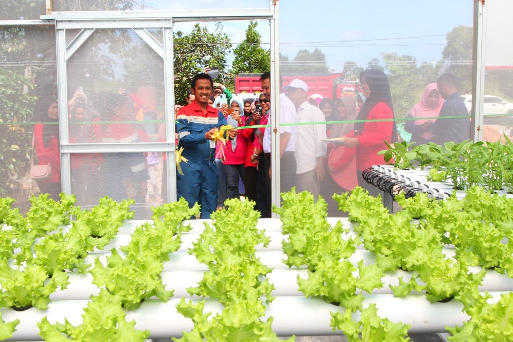 Pertamina EP Sangasanga Field Jalankan Program Pengembangan Berbasis Pertanian Modern