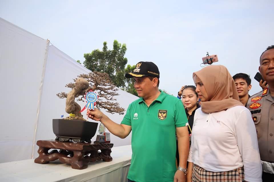 Ratusan Pecinta Bongsai Kumpul di Lubuklinggau, Ada Apa Ya?