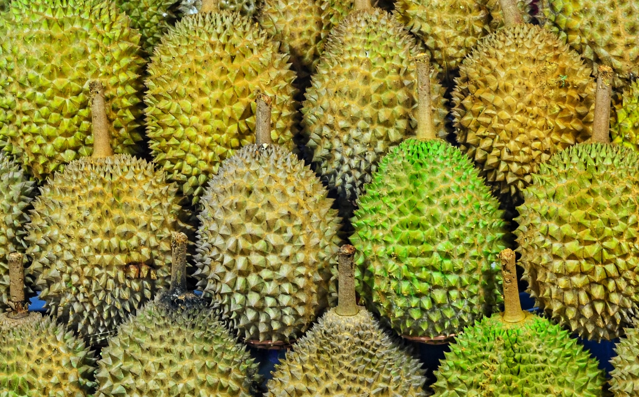 Produksi Lebih 10.000 Kuintal, Ini 3 Daerah Penghasil Durian Terbesar di Provinsi Kepri, Karimun-kah Juaranya?