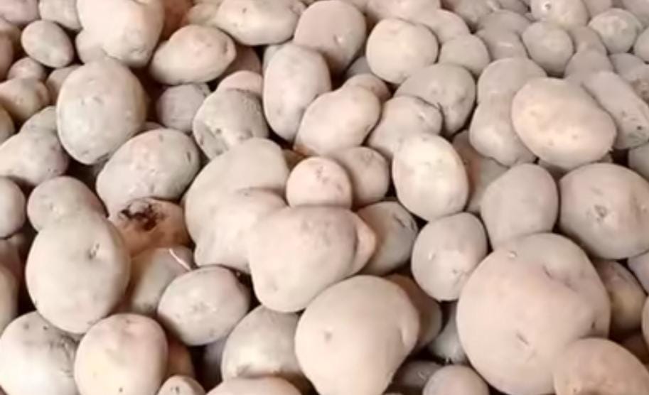 Ternyata Kentang Miliki Manfaat Untuk Mengobati Kulit Terbakar