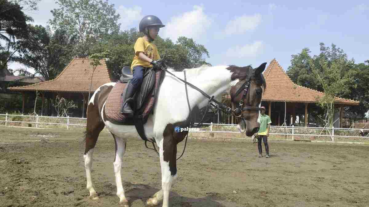 Sensasi Berkuda yang Asyik di Kota Palembang, Lazara Stable Padukan Olahraga dan Wisata