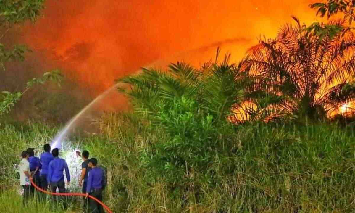 GAWAT! Karhutla di Ogan Ilir Kian Parah, Lahan Terbakar Lebih dari 900 Hektar 