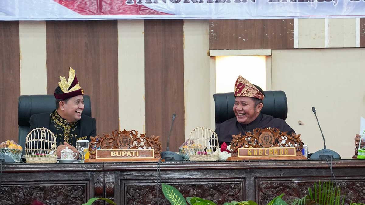 Herman Deru Puji Lompatan Kemajuan Banyuasin di Usia ke-24