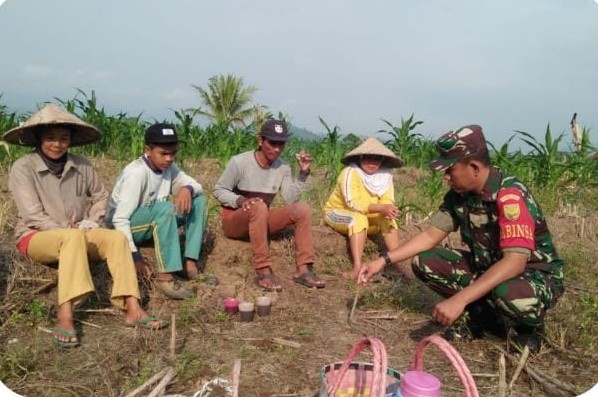  Duduk Bersama Petani, Babinsa Koramil 405-04/Ulu Musi Monitor Kegiatan Warga 