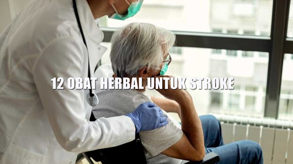 12 Obat Herbal Untuk Stroke, Ada di Dapur Kamu, Tanpa Efek Samping