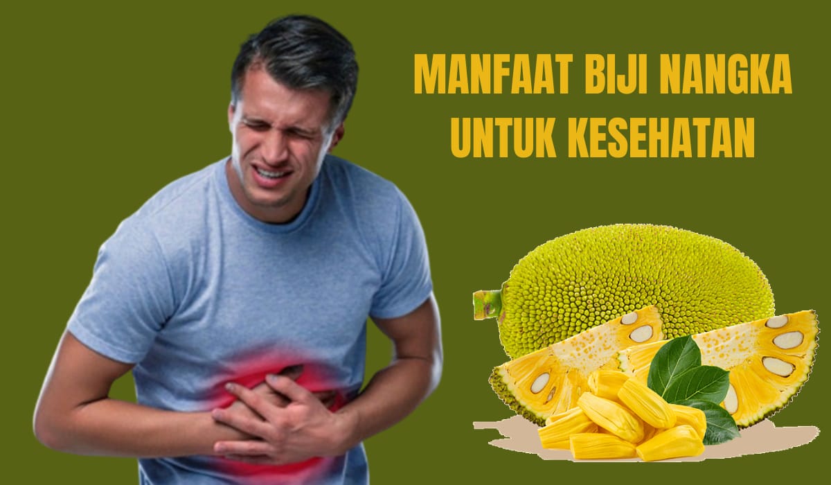 5 Khasiat Biji Nangka untuk Kesehatan, Satu Diantaranya Dipercaya Mencegah Kanker