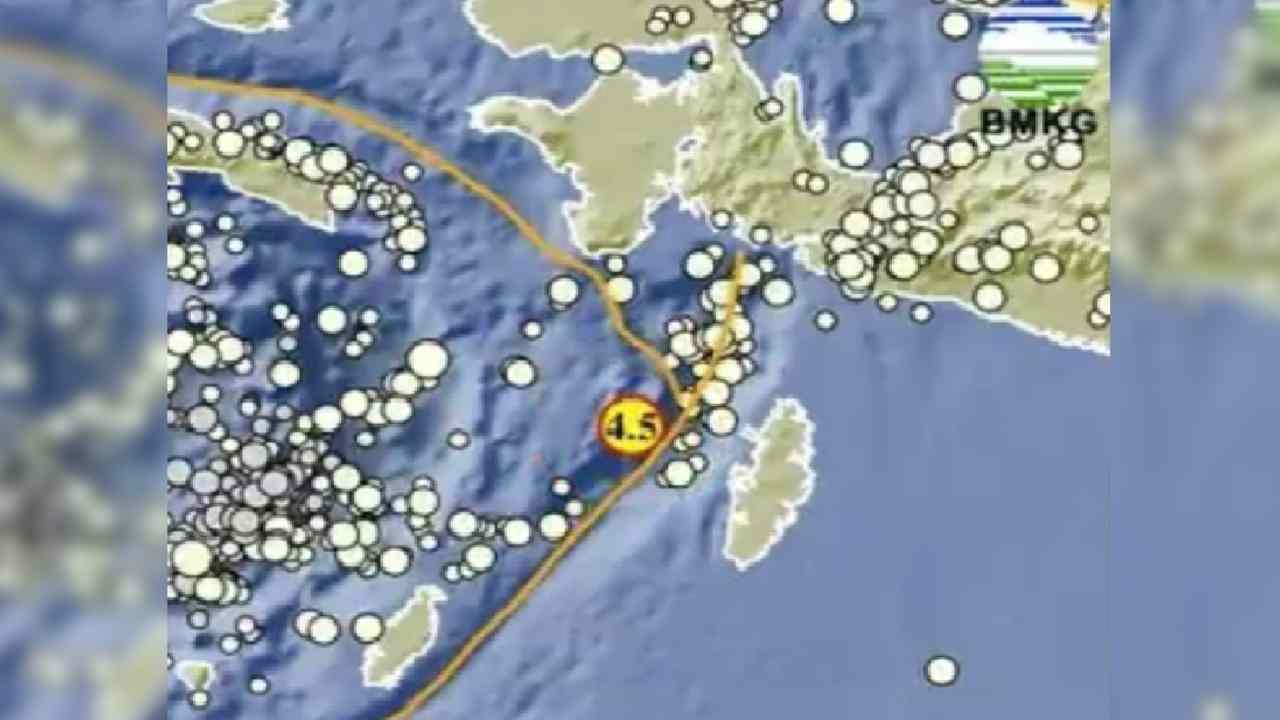 Gempa Bumi 4.5 Magnitudo Guncang Tual Maluku dari Kedalaman 38 Km