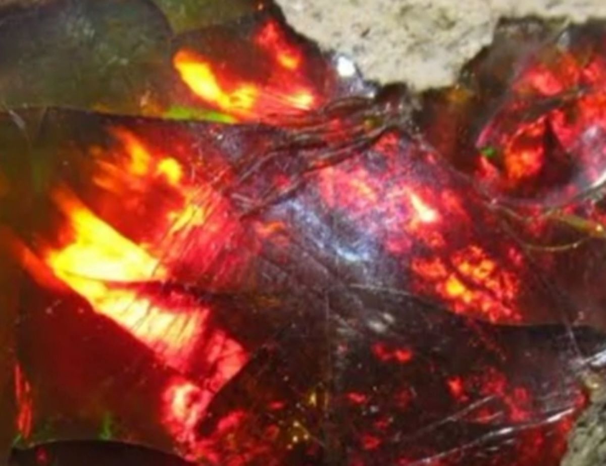 PALING DICARI KOLEKTOR! Mitos 3 Batu Akik Legendaris: Dapat Mengendalikan Angin, Api dan Hujan  