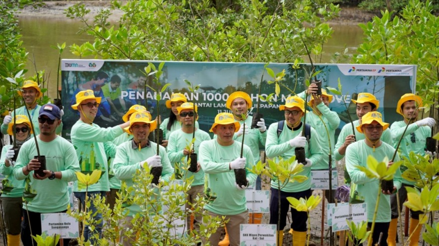 Pertamina Hulu Indonesia Tanam 1.200 Bibit Mangrove di Wilayah Kaltim, Ini Tujuannya