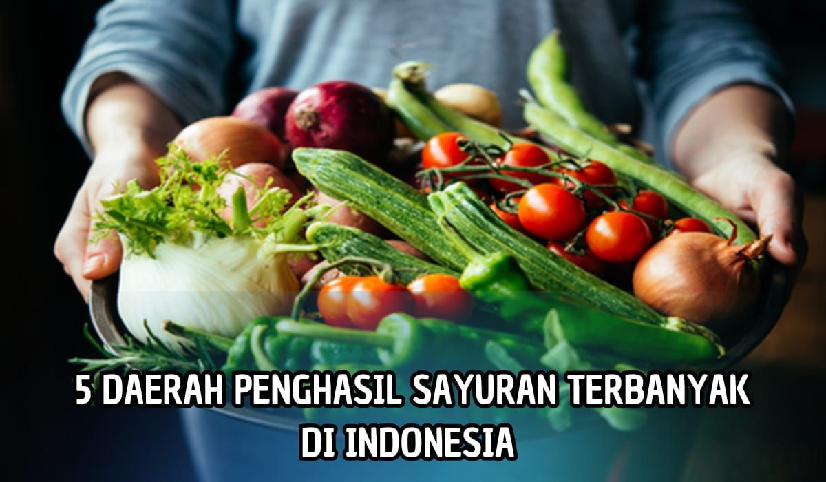 Inilah 5 Daerah Penghasil Sayuran Terbesar di Indonesia, Ada yang Menghasilkan 611 Ribu Ton Pertahun