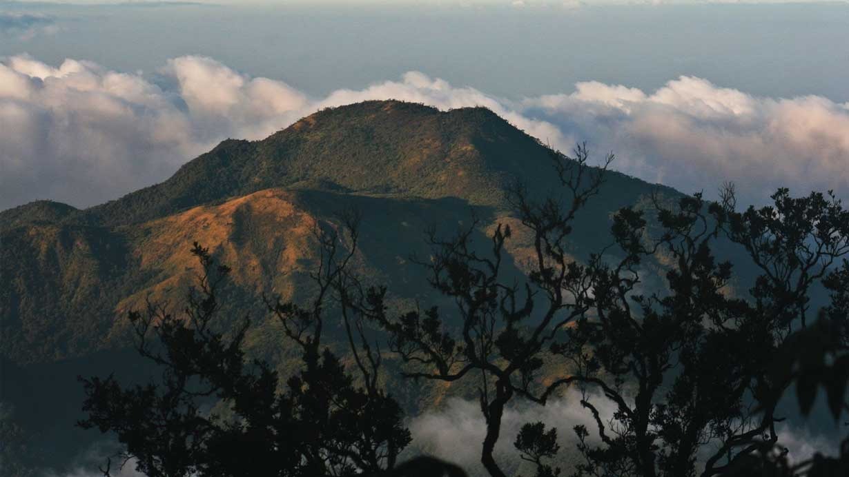 Berjuluk Wukir Mahendra Giri, Ini Sejarah dan Keindahan Gunung dengan 3 Puncak Utama di Jawa