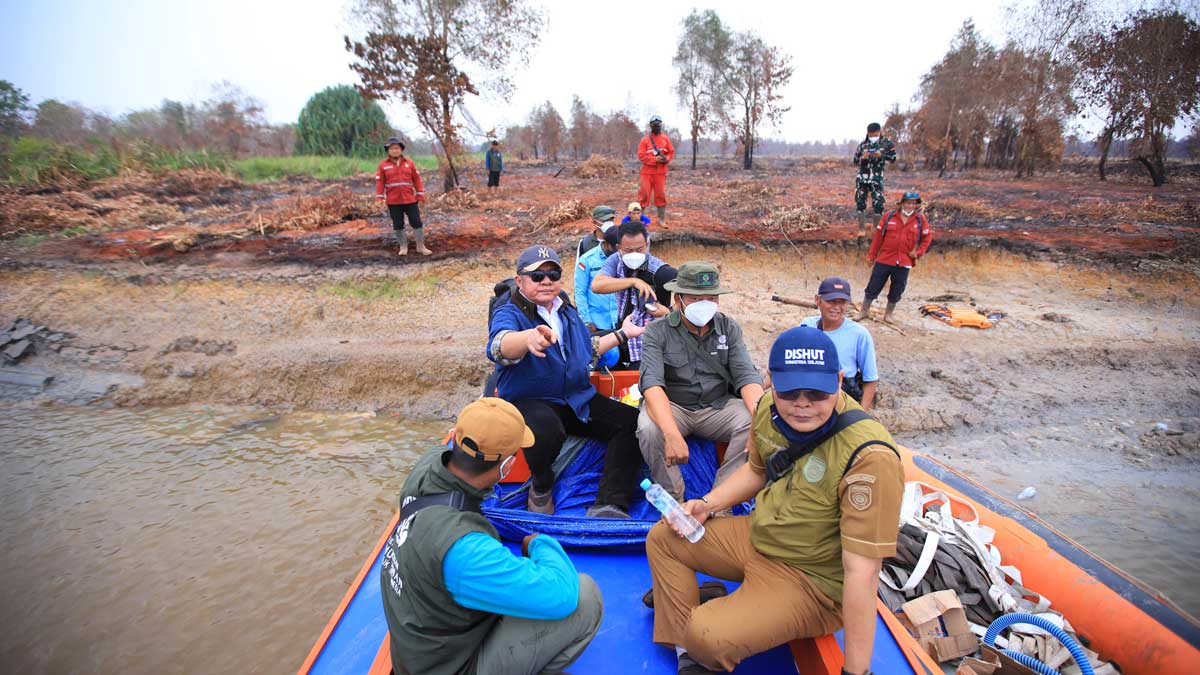Naik Speed Boat Tinjau 2.000 Hektare Lahan Terbakar: Gubernur Herman Deru Pastikan Gajah di Banyuasin Aman