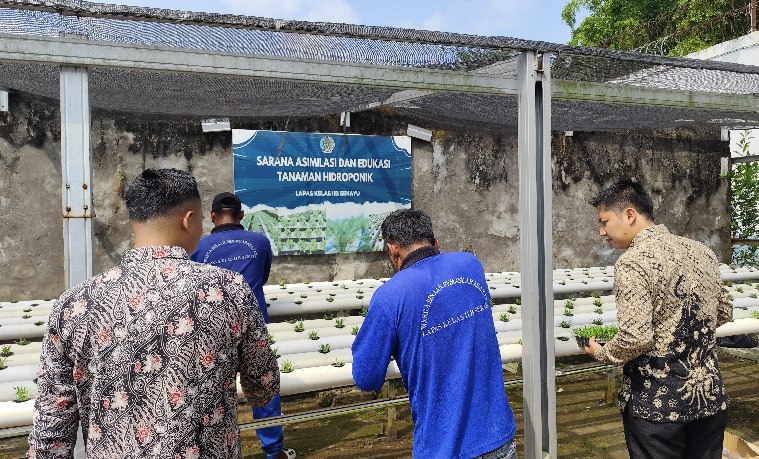 Warga Binaan Lapas Sekayu Diajarkan Cara Tanam Kangkung Secara Hidroponik