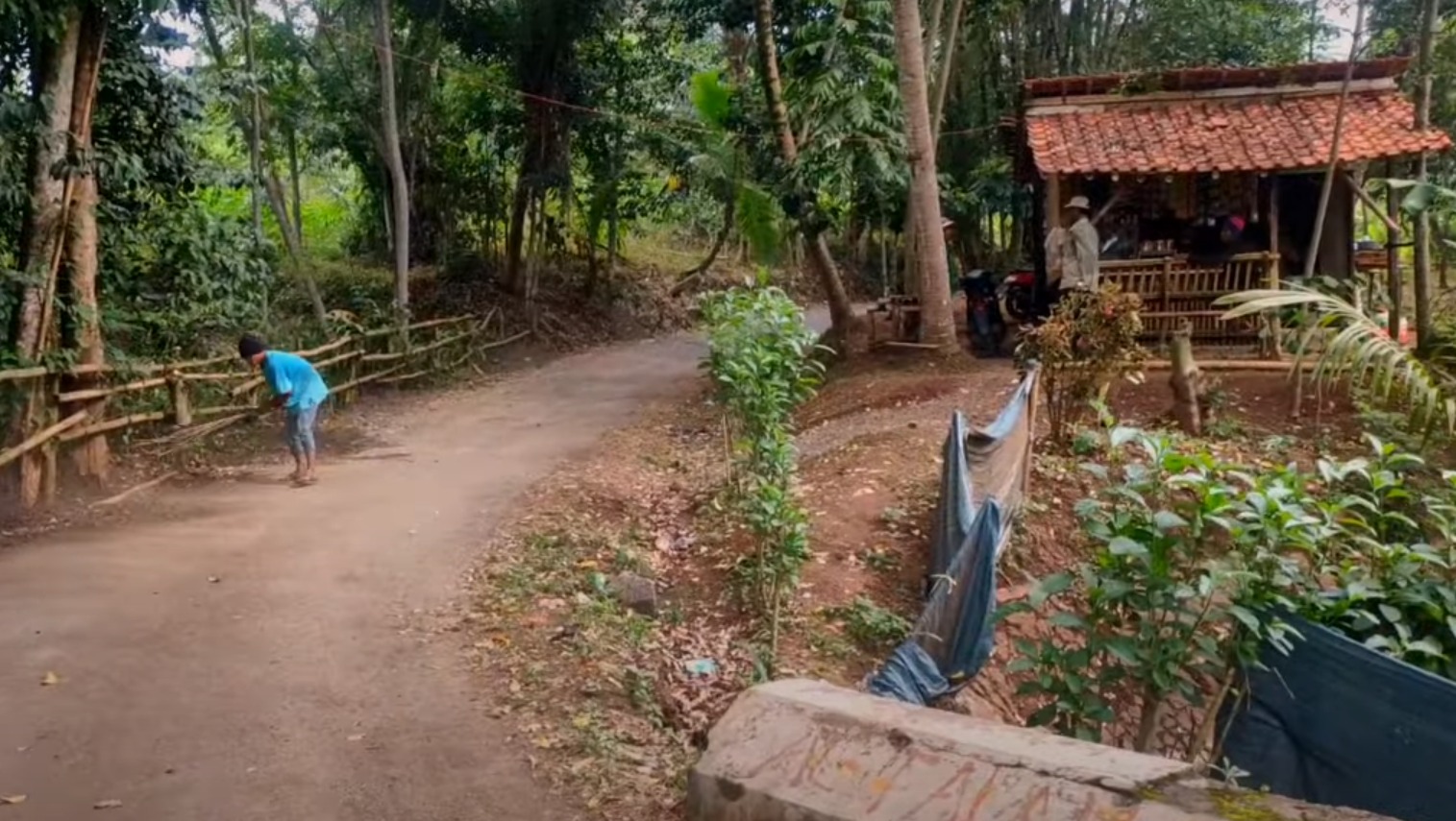 Ada di Tengah Hutan, Dekat Kuburan Angker, Inilah Warung Terpencil di Kabupaten Cianjur 