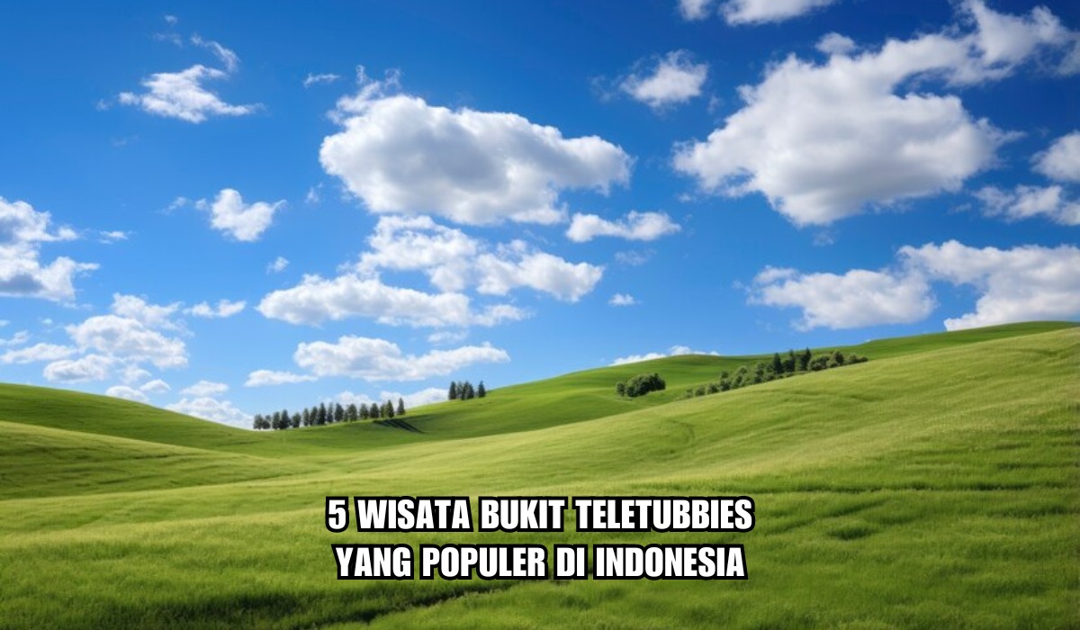 5 Wisata BukitTeletubbies yang Populer di Indonesia, Hamparan Bukit Hijau yang Indah, Mirip di New Zealand!