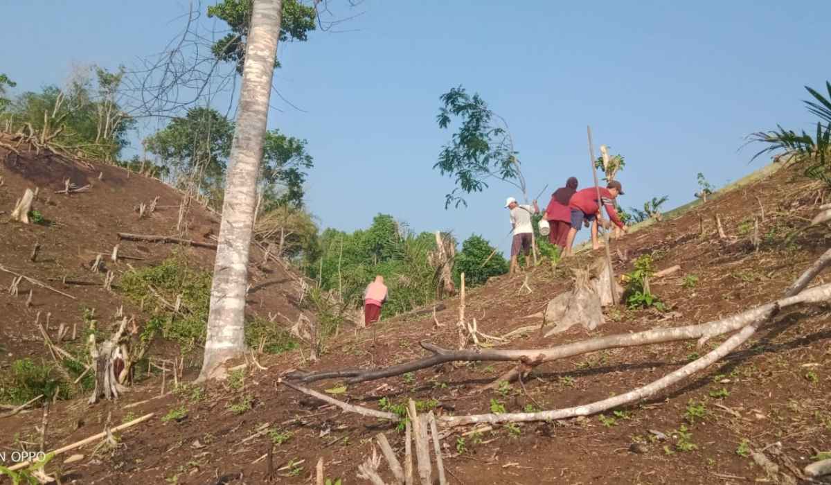 Tradisi Nugal, Dilakukan Warga Empat Lawang Sebelum Musim Hujan