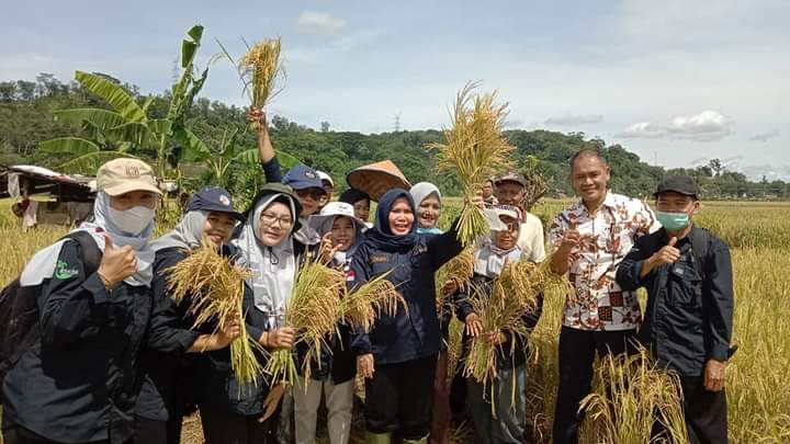 Yuk Intip, Sasaran Pertanian 2023 untuk Tingkatkan Produksi dan Produktivitas