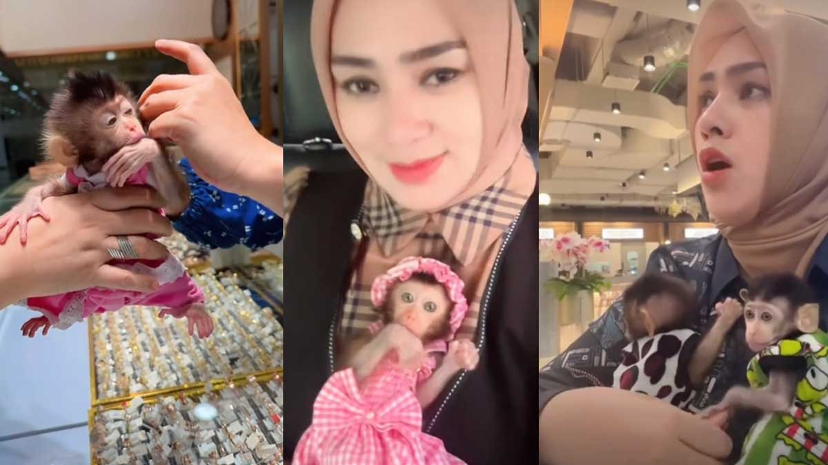 KACAU! Selebgram Palembang Bawa 2 ekor anak Monyet ke Mal, Langsung kena Usir Satpam