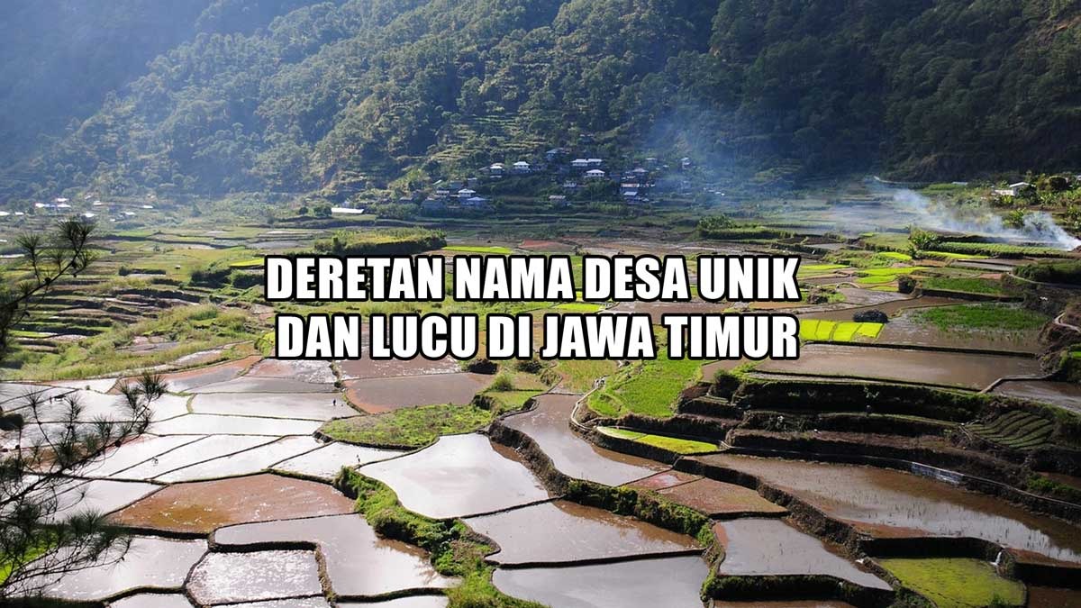Deretan Nama Desa Unik dan Lucu di Jawa Timur, Nomor 5 Jangan Berpikiran Ngeres Ya!