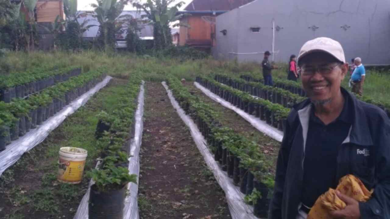 Beras Premium yang Tidak Premium