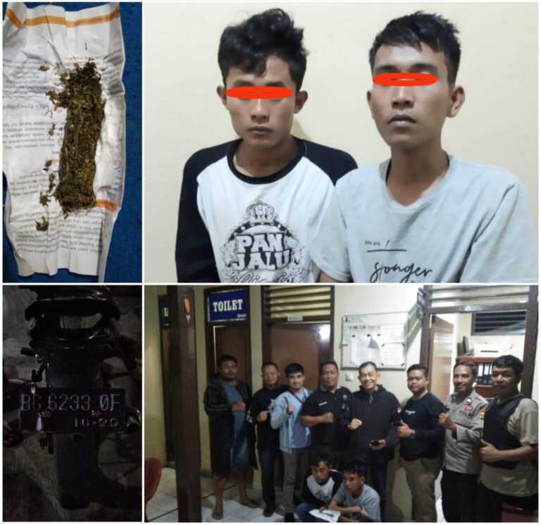  Dua Warga Kota Pagaralam Dibekuk Gegara Edarkan Daun Ganja