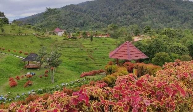 Kebun Raya Pertama di Pulau Sumatera, Punya Koleksi Tanaman Anggrek Terbesar di Dunia