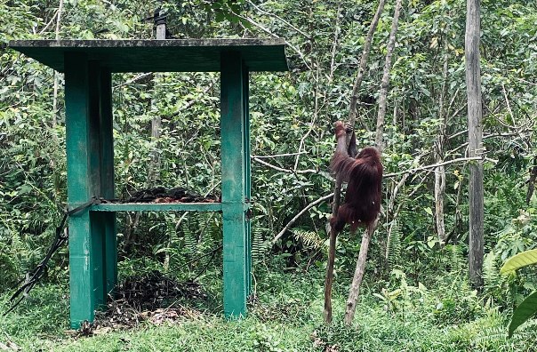 Elnusa Jalankan Program Sustain Action di Kalimantan Timur