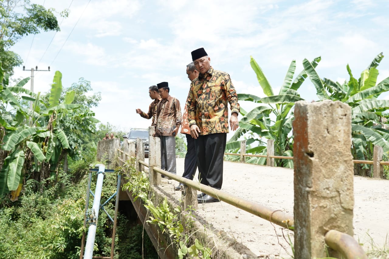 Pulang Kondangan, Pj Bupati Muba Cek Jembatan Desa Tanjung Agung Lais