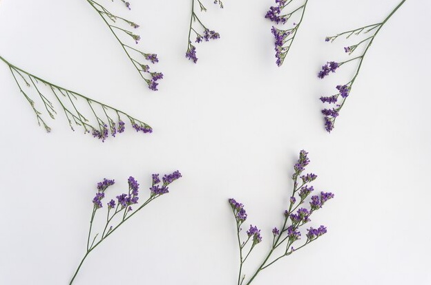 8 Manfaat Bunga Lavender untuk Kesehatan Tubuh yang Wajib Kamu Ketahui!