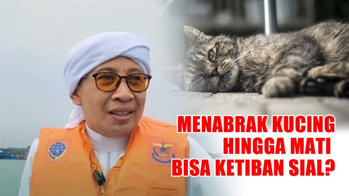 Menabrak Kucing Hingga Mati Bisa Bernasib Sial, Benarkah? Ini Kata Buya Yahya