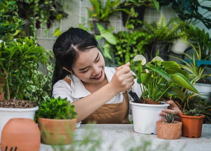 Ingin Mengurangi Stres dan Meningkatkan Kesehatan Mental? Coba Deh Terapi dengan Tanaman Hias, Cek Faktanya