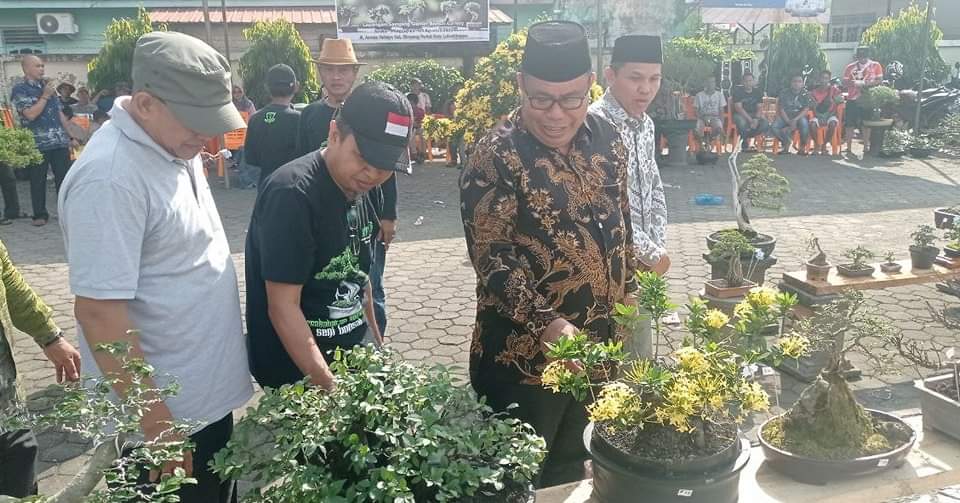 288 Bonsai Berebut Podium Tertinggi