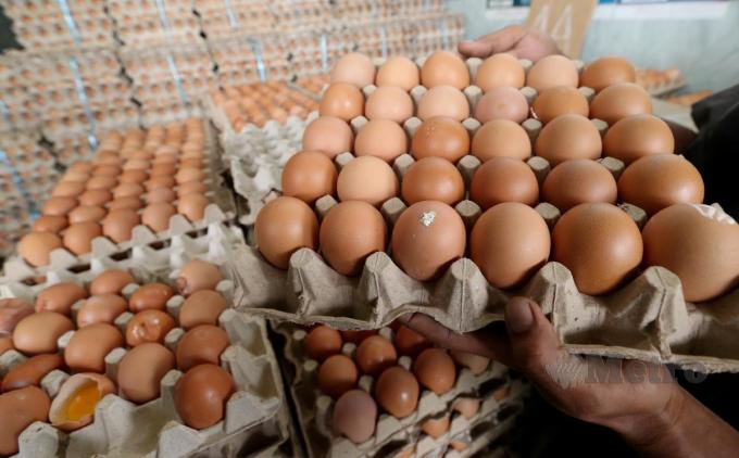 Harga Telur Ayam di OKU Meroket