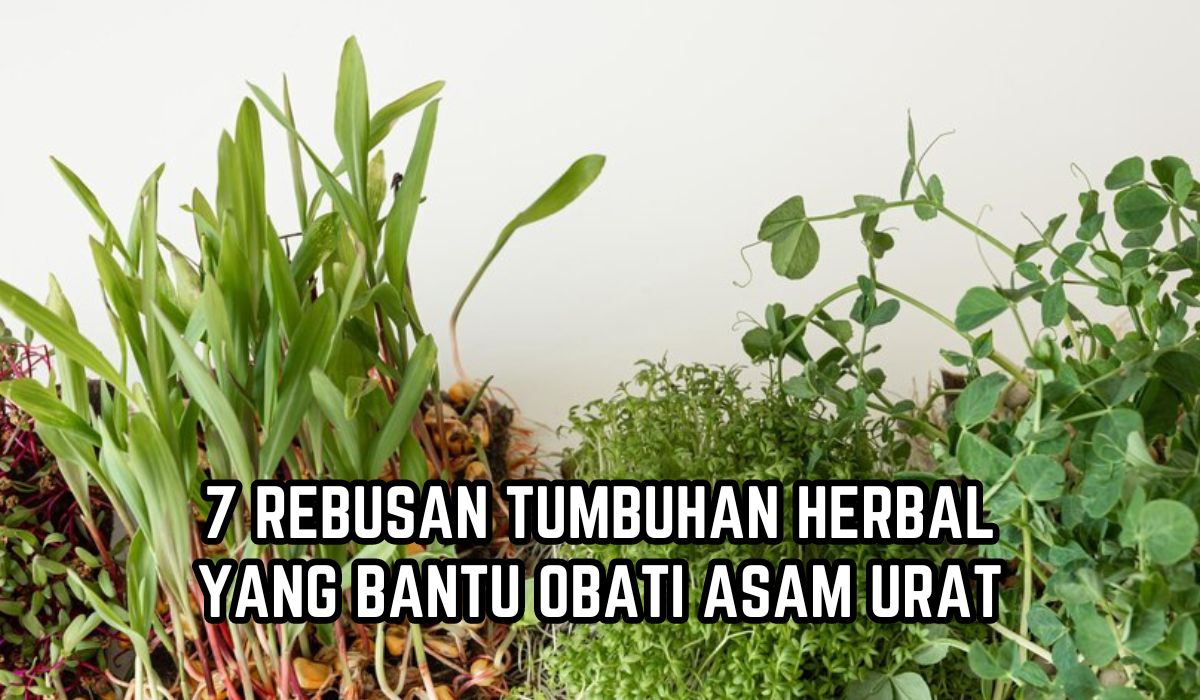 7 Rebusan Tanaman Herbal yang Bantu Obati Asam Urat, Sering Dijadikan Jamu untuk Lansia