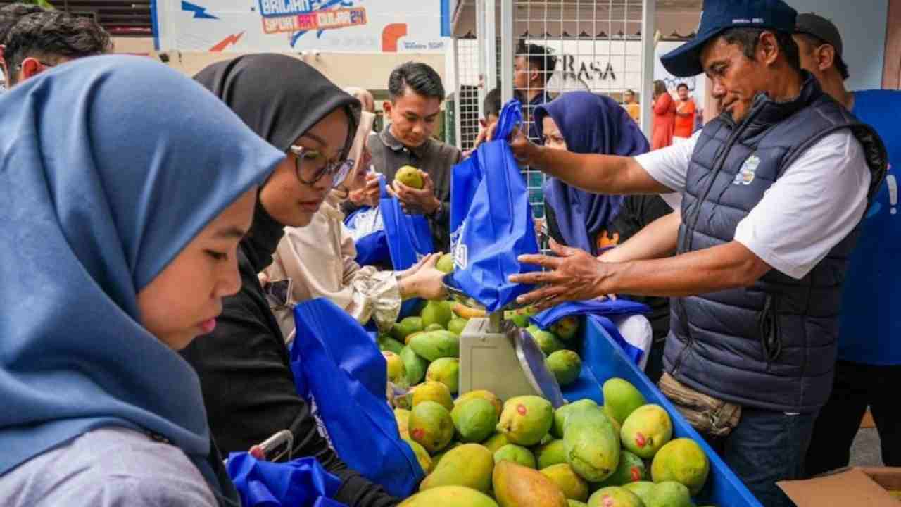 Diberdayakan BRI, Petani Mangga Bondowoso Mampu Perluas Lahan dan Tingkatkan Taraf Hidup