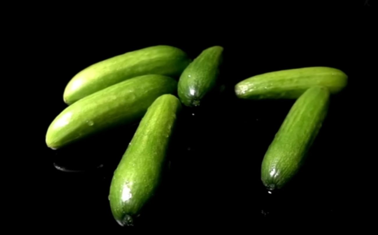 Berikut 5 Manfaat Buah Timun yang Wajib Kamu Ketahui