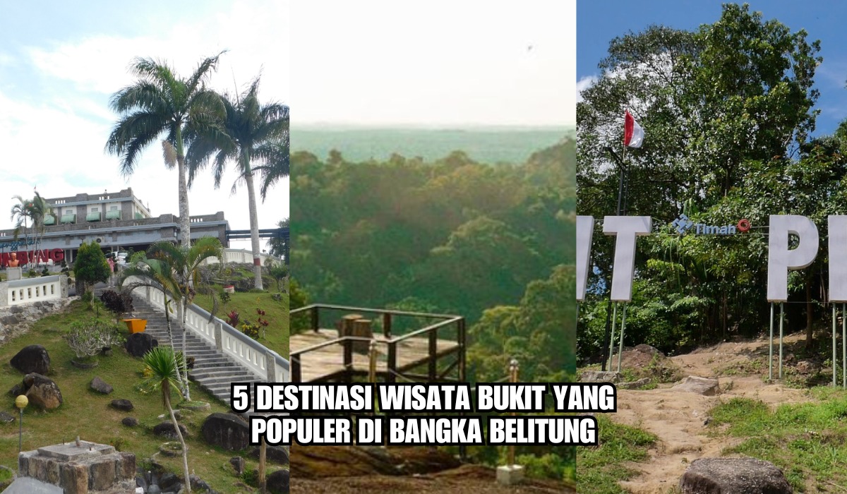 5 Destinasi Wisata Bukit yang Populer di Bangka Belitung,Salah Satunya Jadi Hutan Digital Pertama di Indonesia