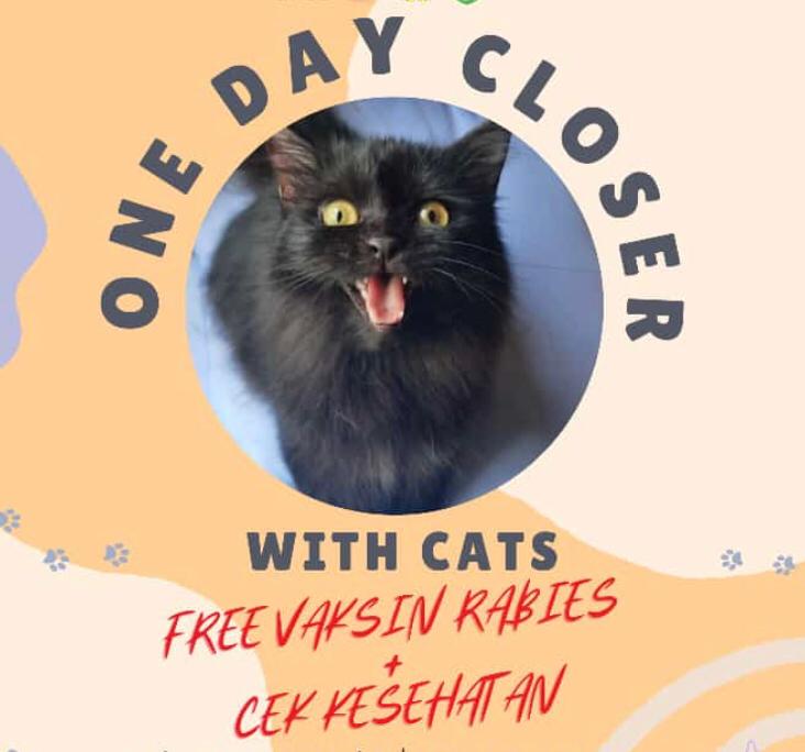 Saksikan Pameran Kucing Bertemakan ‘One Day Closer With Cats’ di PIM, Cek Tanggalnya Disini!