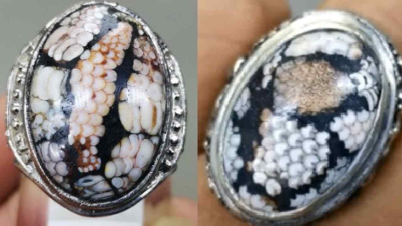 7 Manfaat Mistis Batu Akik Sisik Ular, Nomor 6 Disebut Jadi Rahasia Para Pejabat dan Pengusaha