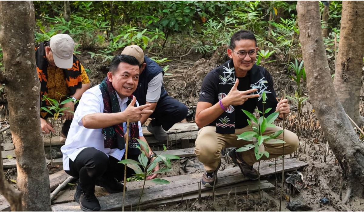 Menparekraf Sandiaga Uno Kunjungi Wisata Mangrove Pangkal Babu di Jambi