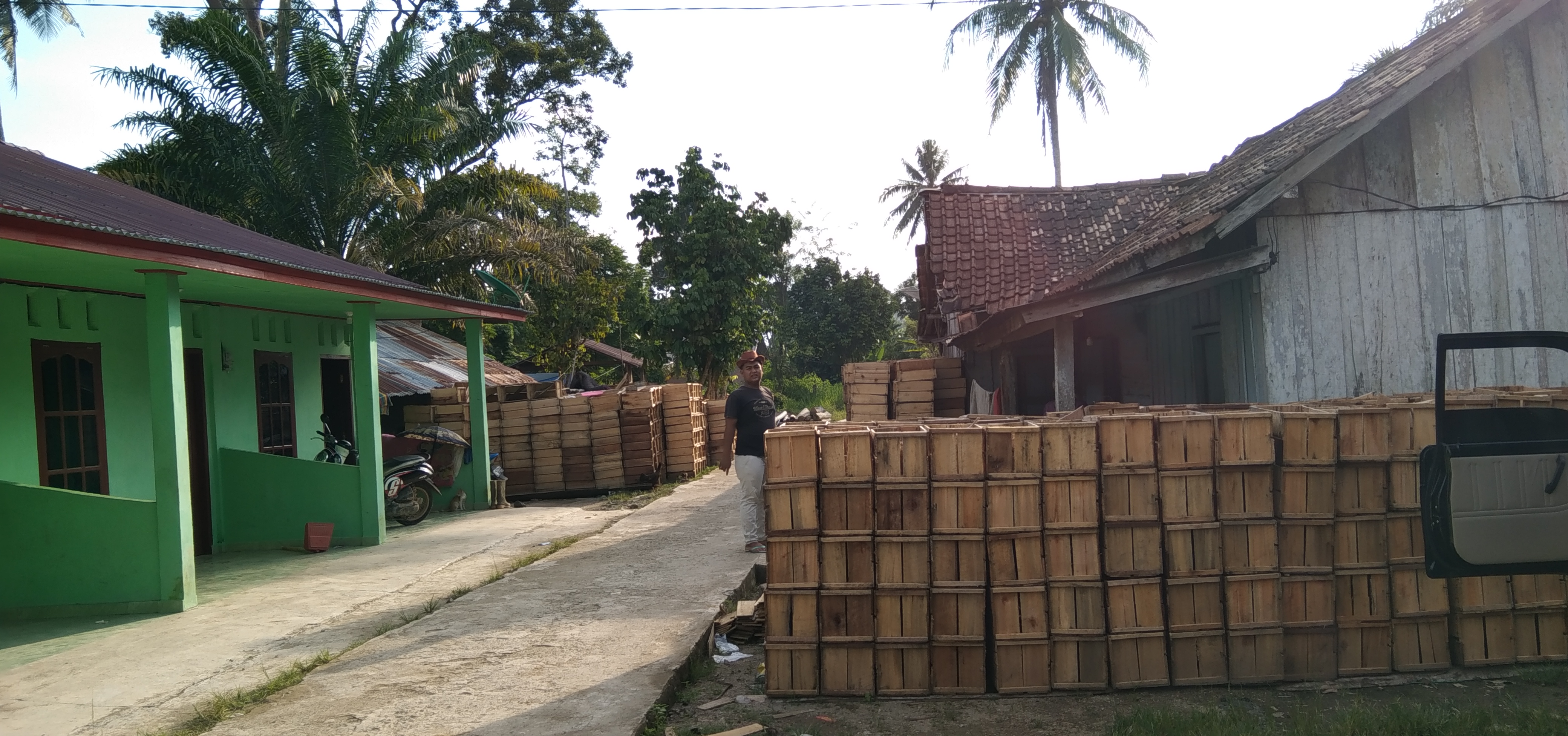 Wow, 1.500 Peti Buah Duku Per hari Dikirim Ke Pulau Jawa 