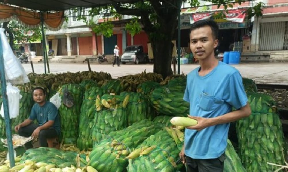 WADUH! Sebentar lagi Tahun Baru Pedagang Jagung Malah Sepi Pembeli 