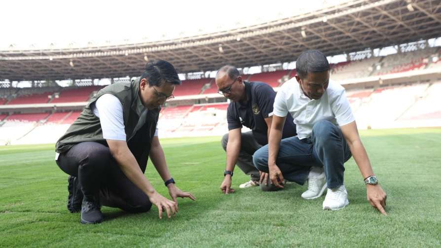 Revitalisasi Lapangan SUGBK Terus Dilakukan, Pengelola Gunakan Rumput Jenis Zoysia Matrella