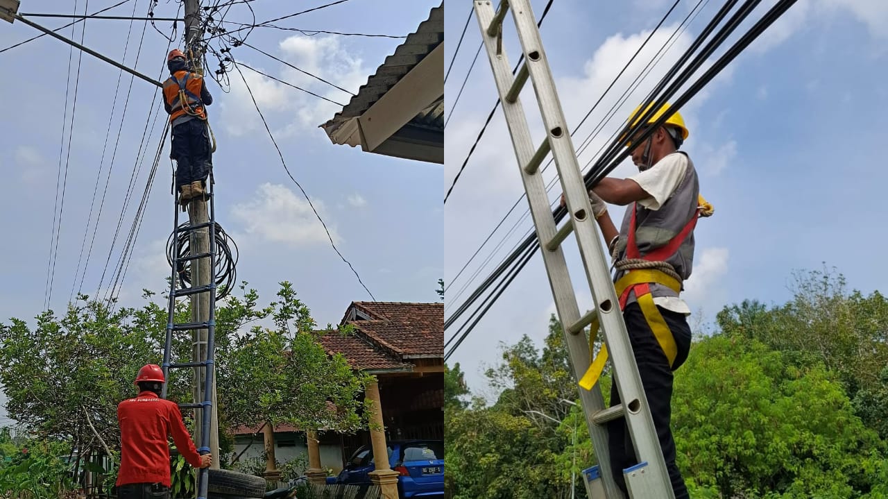 PLN Icon Plus Sumbagsel Rutin Tertibkan Kabel FO, Jaga Keandalan Layanan dan Keamanan Publik